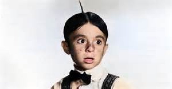 Alfalfa The Character: A Comprehensive Guide to the Iconic Little Rascal