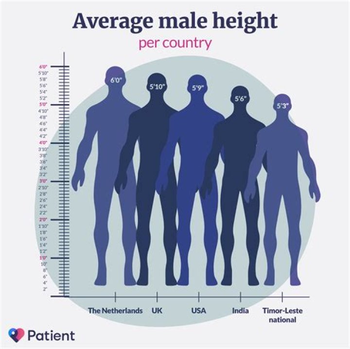 Average Height of American Women: A Comprehensive Overview