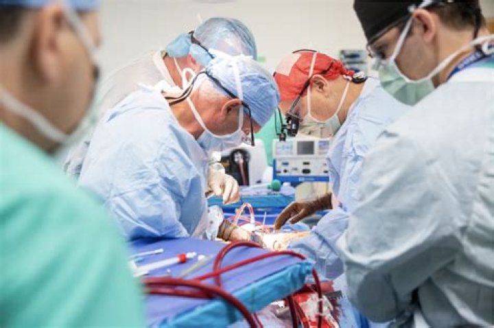 Fabio Jacksonurgery: Exploring the Revolutionary Procedure in Plastic Surgery