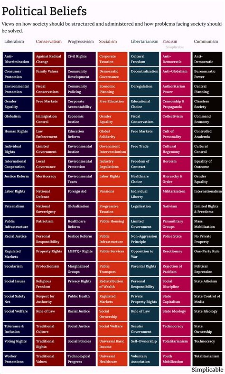 Is Christapleton Liberal? Exploring the Political Beliefs and Influence
