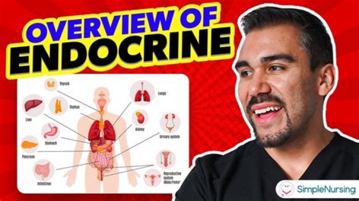 Jamie Marhtxxx Videos: A Comprehensive Exploration