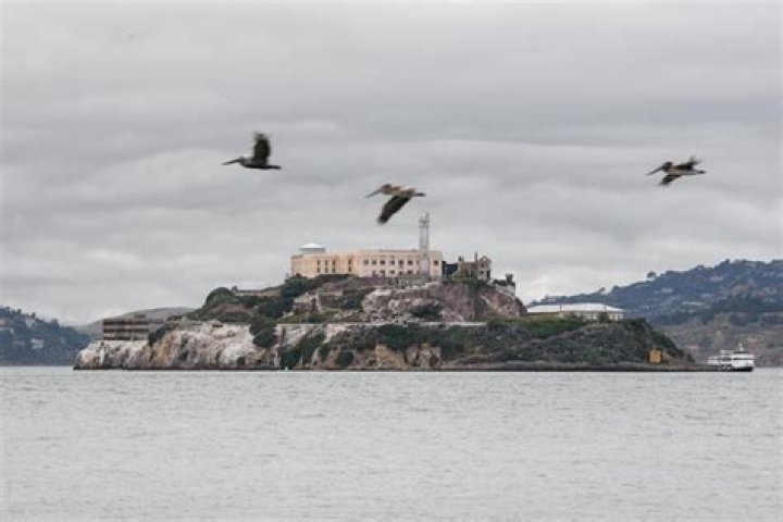 Why Did Alcatraz Close? A Comprehensive Look Into the Closure of America's Most Famous Penitentiary